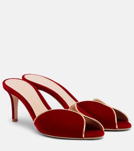 Mules 70 in velluto con pelle - Gianvito Rossi - Modalova