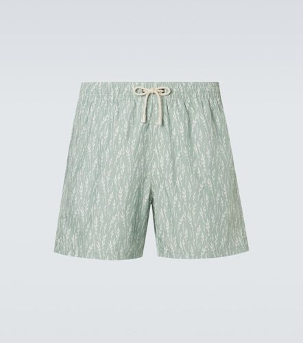 Canali Printed swim trunks - Canali - Modalova