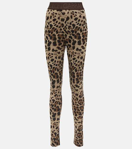 High-rise leopard-print leggings - Dolce&Gabbana - Modalova