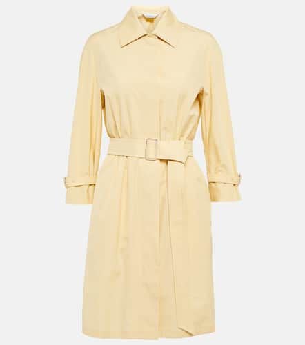 Saio cotton poplin shirt dress - Max Mara - Modalova