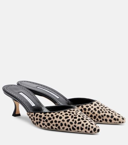 Mules Carolyne 50 de pelo de becerro - Manolo Blahnik - Modalova