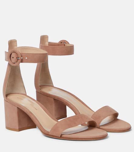 Versilia 60 suede sandals - Gianvito Rossi - Modalova