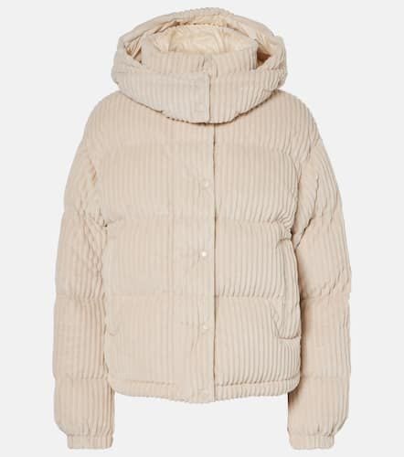 Moncler Daos corduroy down jacket - Moncler - Modalova