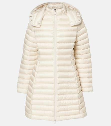 Moncler Daunenmantel Igelong - Moncler - Modalova