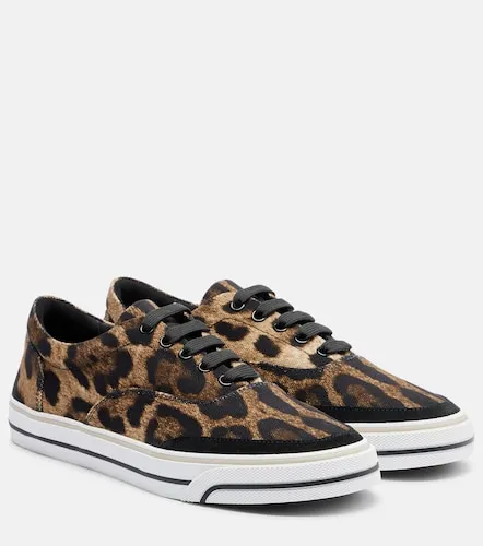 Leopard-print canvas sneakers - Dolce&Gabbana - Modalova