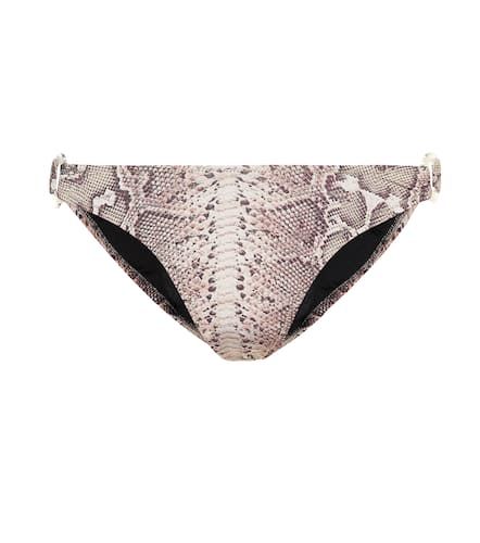 Reina Olga Rings bikini bottoms - Reina Olga - Modalova