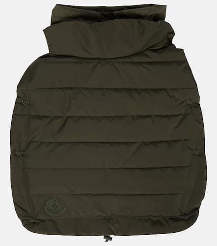 X Poldo Dog Couture dog coat - Moncler - Modalova