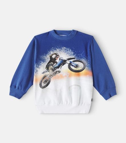Sudadera Monti de jersey de algodón estampada - Molo - Modalova