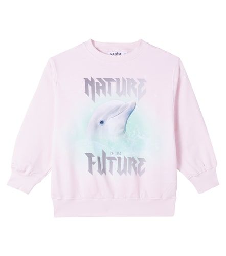 Sudadera Monti de algodón estampada - Molo - Modalova