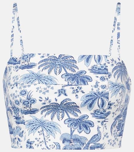 Federico printed cotton crop top - Staud - Modalova