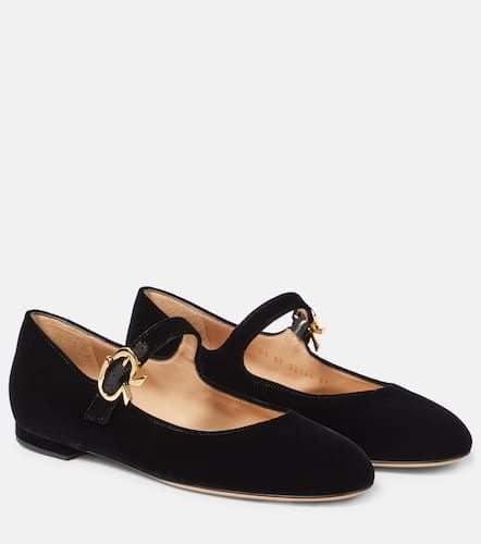 Mary Ribbon 05 velvet ballet flats - Gianvito Rossi - Modalova