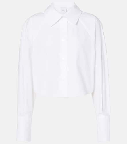 Patou Cotton poplin cropped shirt - Patou - Modalova