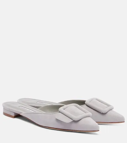 Slippers Maysale in suede - Manolo Blahnik - Modalova