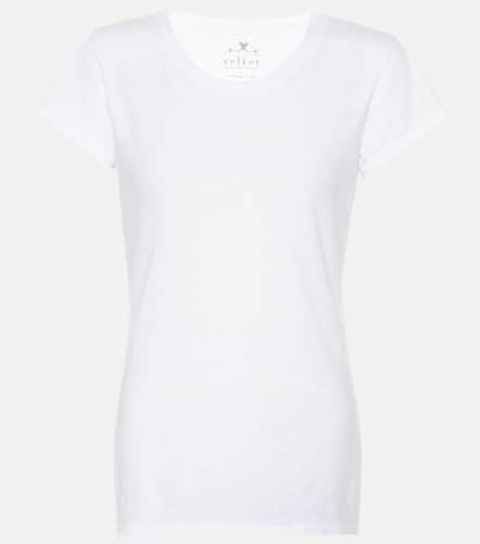 Velvet Odelia cotton T-shirt - Velvet - Modalova