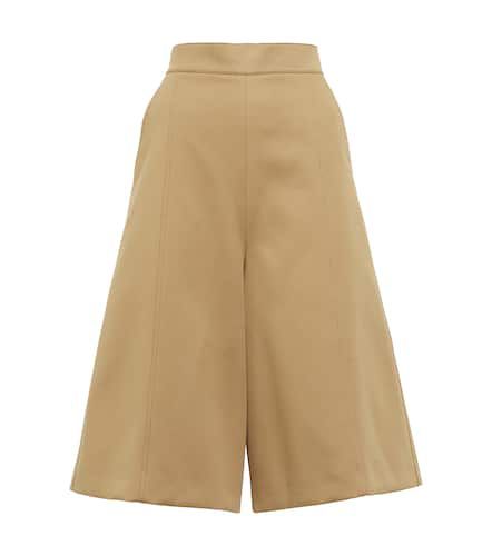 Shorts Miele in misto cotone a vita alta - Max Mara - Modalova