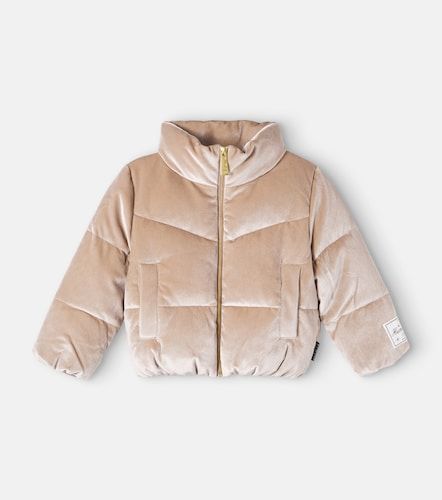 Chaqueta acolchada Havi de terciopelo - Molo - Modalova