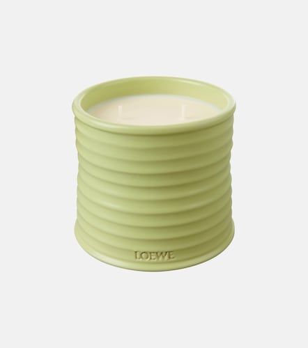 Vela Cucumber Medium - Loewe Home Scents - Modalova