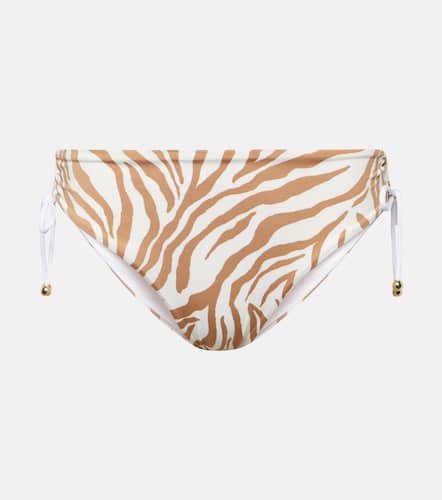 Slip bikini Sibilla con stampa zebrata - Max Mara - Modalova