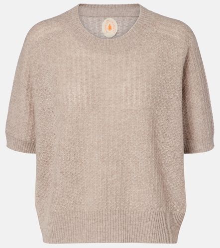 Pullover in cashmere - Jardin des Orangers - Modalova