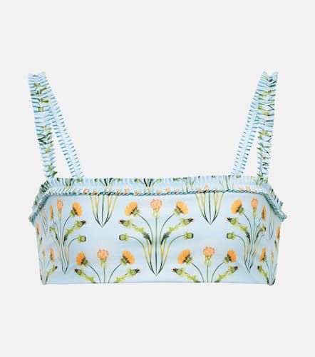 Olmo Diente de LeÃ³n bikini top - Agua by Agua Bendita - Modalova