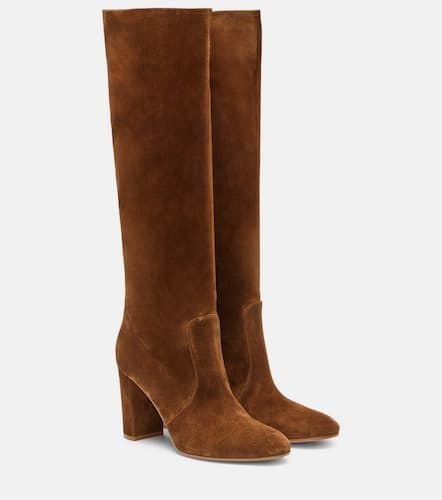 Glen 85 suede knee-high boots - Gianvito Rossi - Modalova