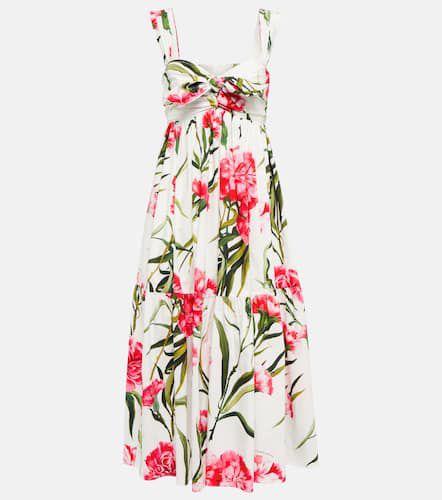 Floral cotton poplin midi dress - Dolce&Gabbana - Modalova