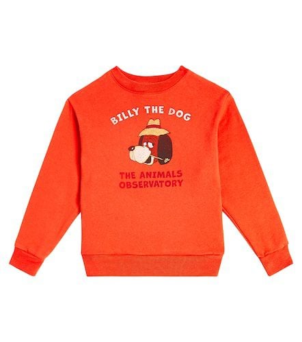 Bear cotton jersey sweatshirt - The Animals Observatory - Modalova