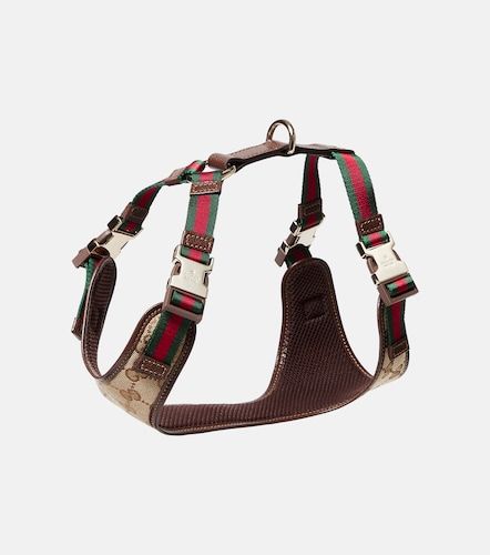 Gucci S/M GG canvas dog harness - Gucci - Modalova