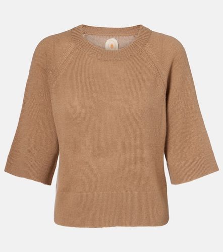 Pullover in lana e cashmere - Jardin des Orangers - Modalova