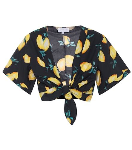 Sandy printed cotton crop top - Alexandra Miro - Modalova