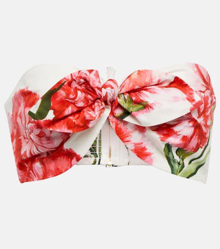 Floral-printed cotton bandeau top - Dolce&Gabbana - Modalova