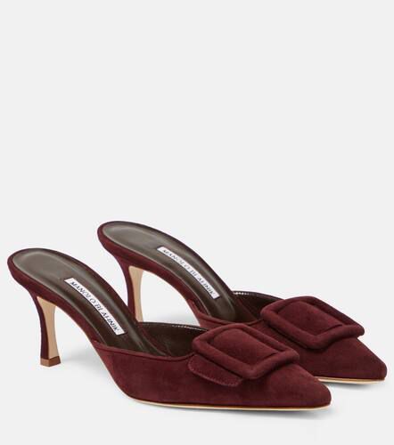 Maysale 70 suede mules - Manolo Blahnik - Modalova