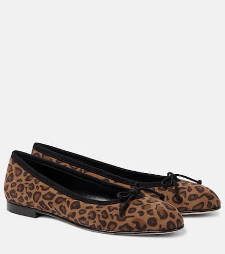 Veralli leopard-print suede ballet flats - Manolo Blahnik - Modalova