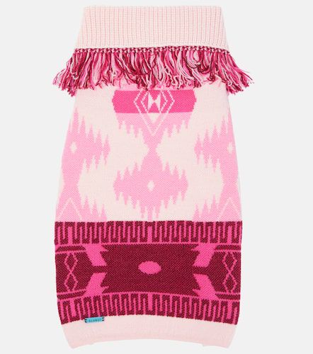 X Poldo Dog Couture dog sweater - Alanui - Modalova