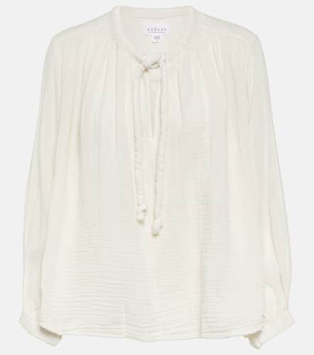 Velvet Tie-neck cotton blouse top - Velvet - Modalova