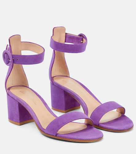 Versilia 60 suede sandals - Gianvito Rossi - Modalova