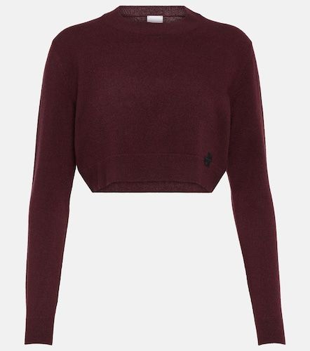 Patou Pullover cropped in cashmere - Patou - Modalova