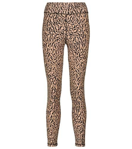 High-rise leopard print leggings - The Upside - Modalova