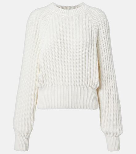 Jersey Moltrasio de algodón - Loro Piana - Modalova