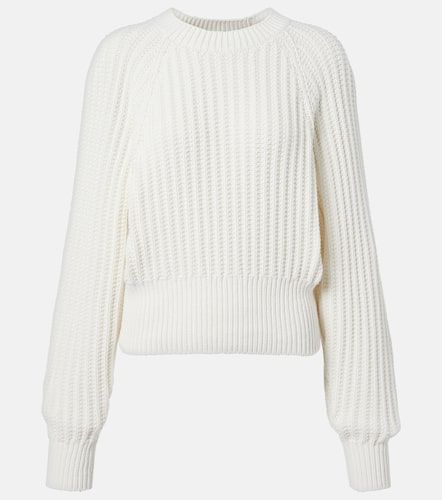 Pullover Moltrasio in cotone - Loro Piana - Modalova