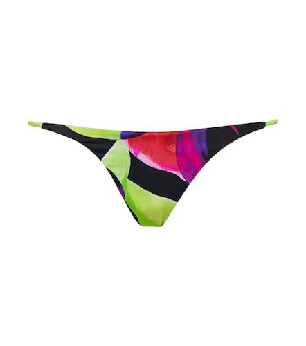 Printed low-rise bikini bottoms - Louisa Ballou - Modalova