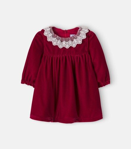 Bebé - vestido de terciopelo con encaje - Tartine et Chocolat - Modalova