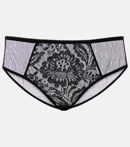 High-rise lace and tulle briefs - Dolce&Gabbana - Modalova