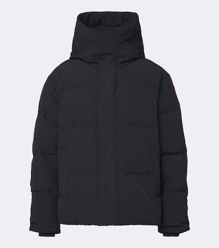 Canada Goose Daunenjacke Seymour - Canada Goose - Modalova