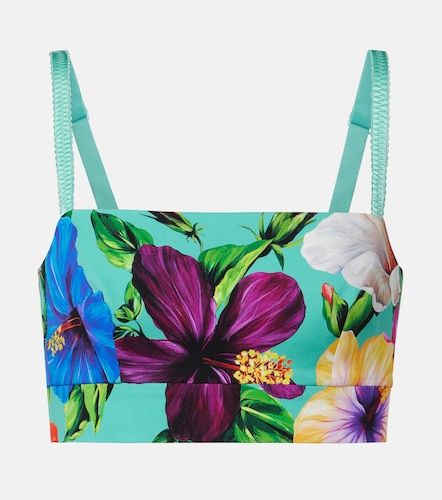 Floral silk-blend crop top - Dolce&Gabbana - Modalova