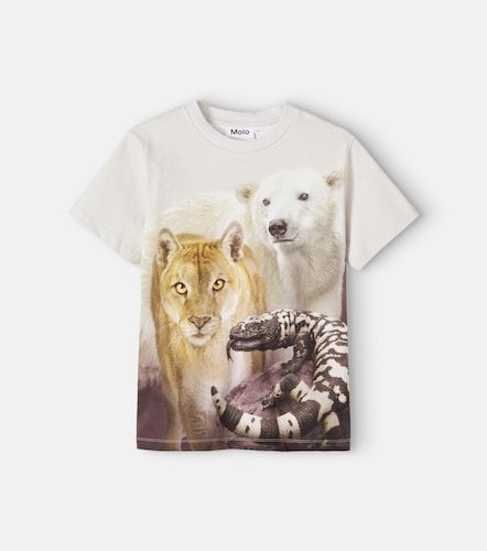 Camiseta Riley de jersey de algodón estampada - Molo - Modalova