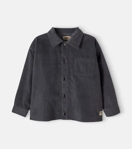 Camisa Marcel de pana de algodón - Wheat - Modalova