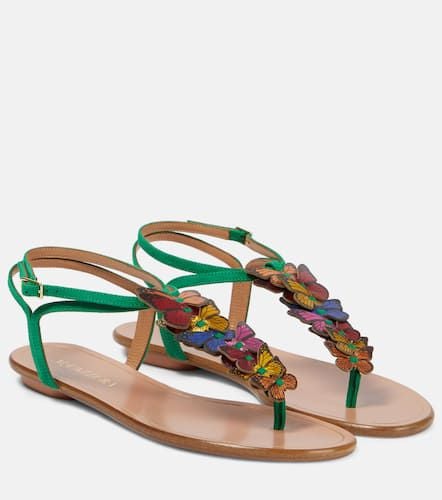 Papillon suede thong sandals - Aquazzura - Modalova