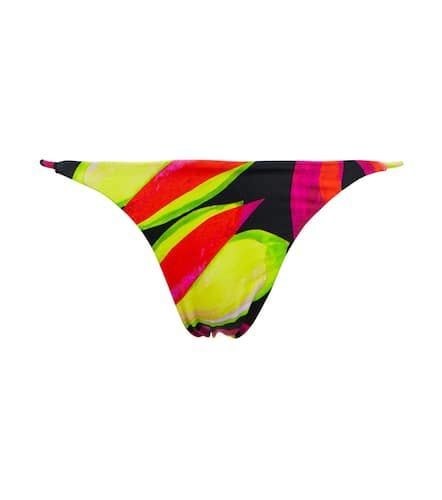 Mini Ring high-rise bikini bottoms - Louisa Ballou - Modalova