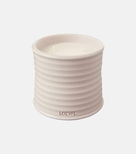 Candela profumata Oregano media - Loewe Home Scents - Modalova